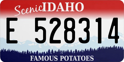 ID license plate E528314