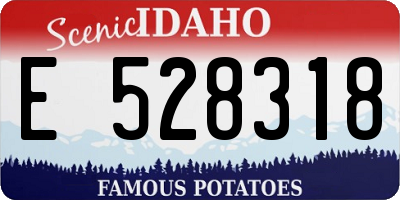ID license plate E528318