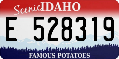 ID license plate E528319