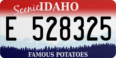 ID license plate E528325