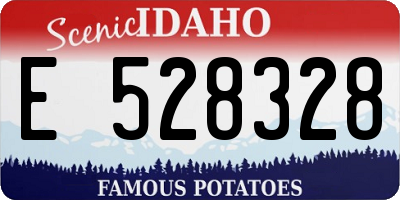 ID license plate E528328