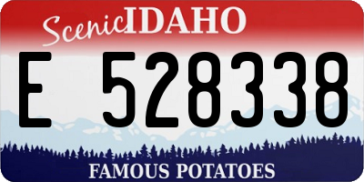 ID license plate E528338