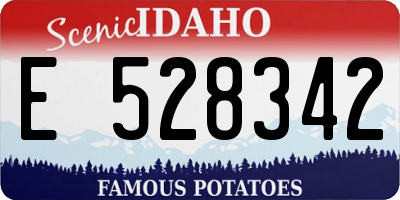 ID license plate E528342