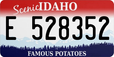 ID license plate E528352