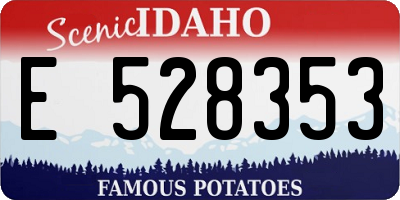 ID license plate E528353
