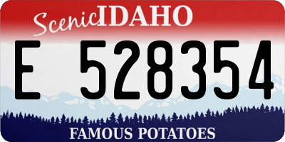 ID license plate E528354