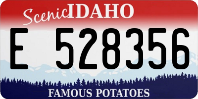 ID license plate E528356