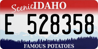ID license plate E528358