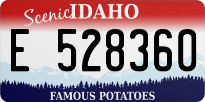 ID license plate E528360