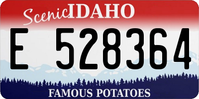 ID license plate E528364