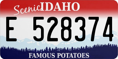 ID license plate E528374