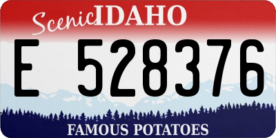ID license plate E528376