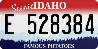 ID license plate E528384