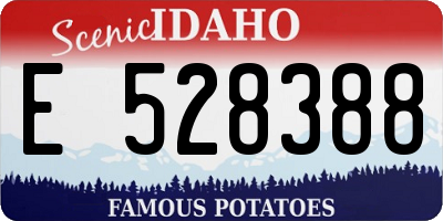 ID license plate E528388