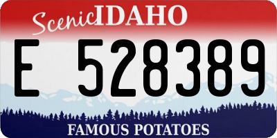 ID license plate E528389