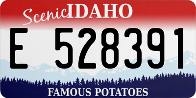 ID license plate E528391