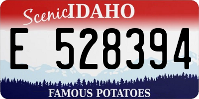ID license plate E528394