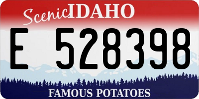 ID license plate E528398