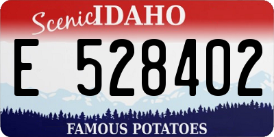 ID license plate E528402