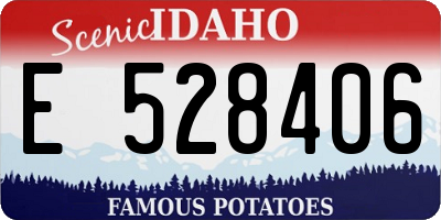 ID license plate E528406