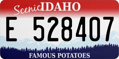 ID license plate E528407