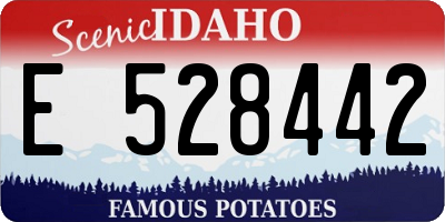 ID license plate E528442