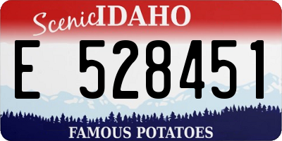 ID license plate E528451