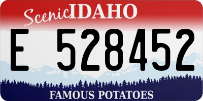 ID license plate E528452