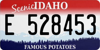 ID license plate E528453