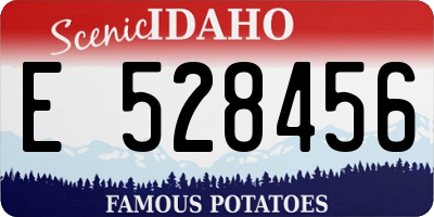 ID license plate E528456