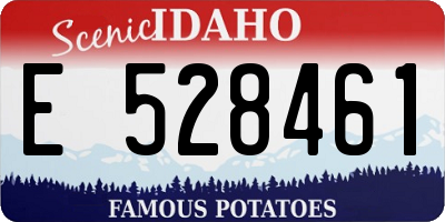 ID license plate E528461