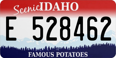 ID license plate E528462