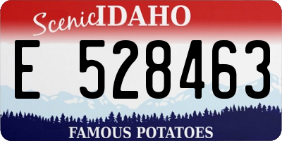 ID license plate E528463