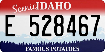 ID license plate E528467