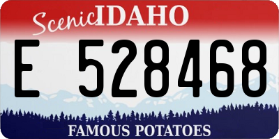 ID license plate E528468