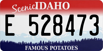 ID license plate E528473