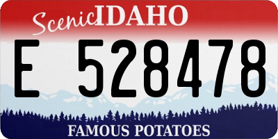 ID license plate E528478