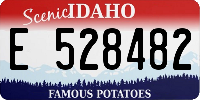 ID license plate E528482