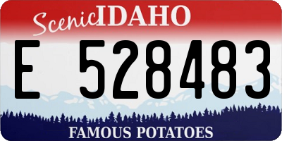 ID license plate E528483