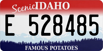 ID license plate E528485
