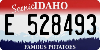 ID license plate E528493