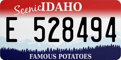 ID license plate E528494