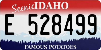ID license plate E528499