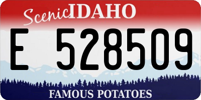 ID license plate E528509