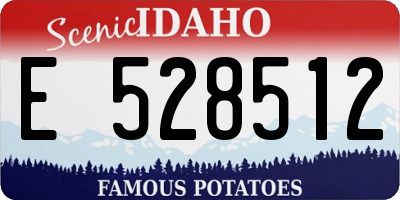 ID license plate E528512