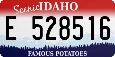 ID license plate E528516