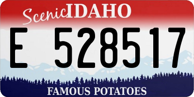ID license plate E528517