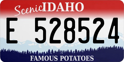 ID license plate E528524