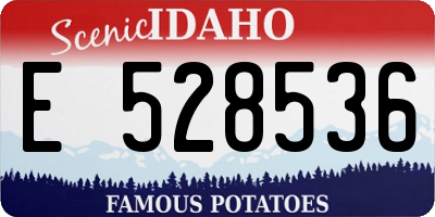 ID license plate E528536