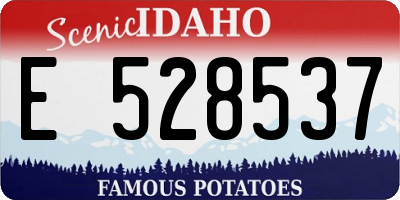ID license plate E528537